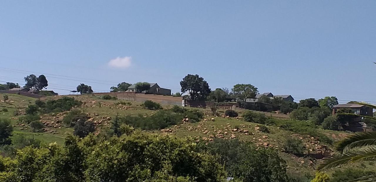 Agterplaas Guesthouse Pty Ltd Johannesburg Kültér fotó